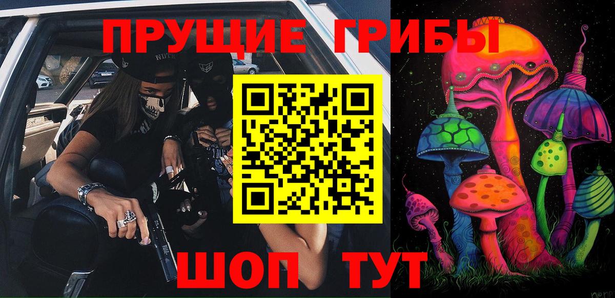 Псилоцибиновые грибы Cubensis Лысьва