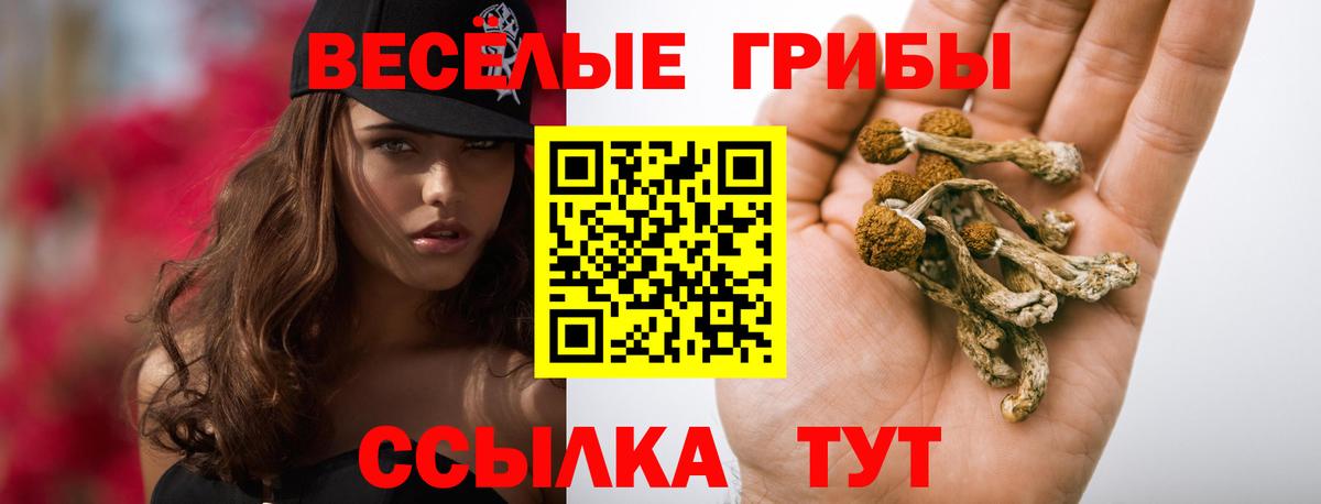Лысьва  Галлюциногенные грибы мухоморы  Вход с VPN  закладки  Галлюциногенные грибы Magic Shrooms 